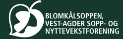 logo bilde Blomkålsoppen (Vest-Agders sopp-og nyttevekstforening)
