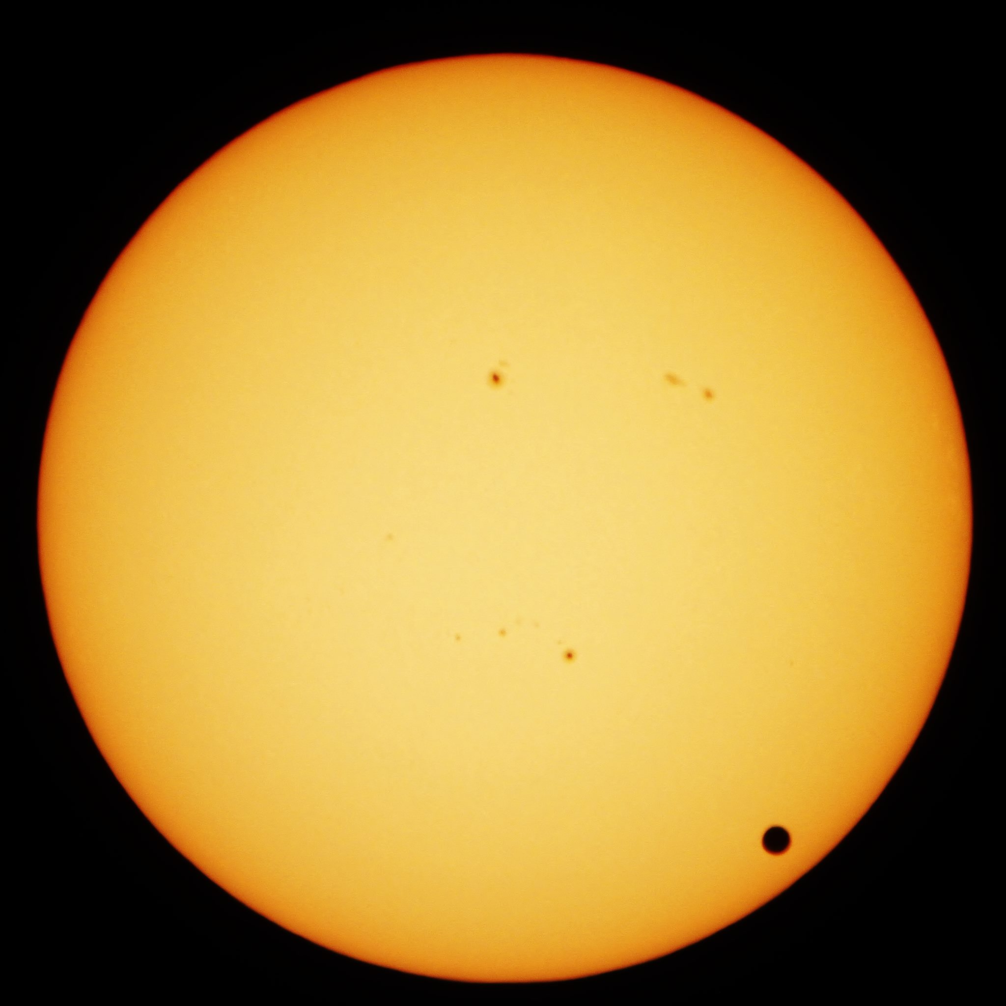 logo bilde Astronomi foreningen i Agder