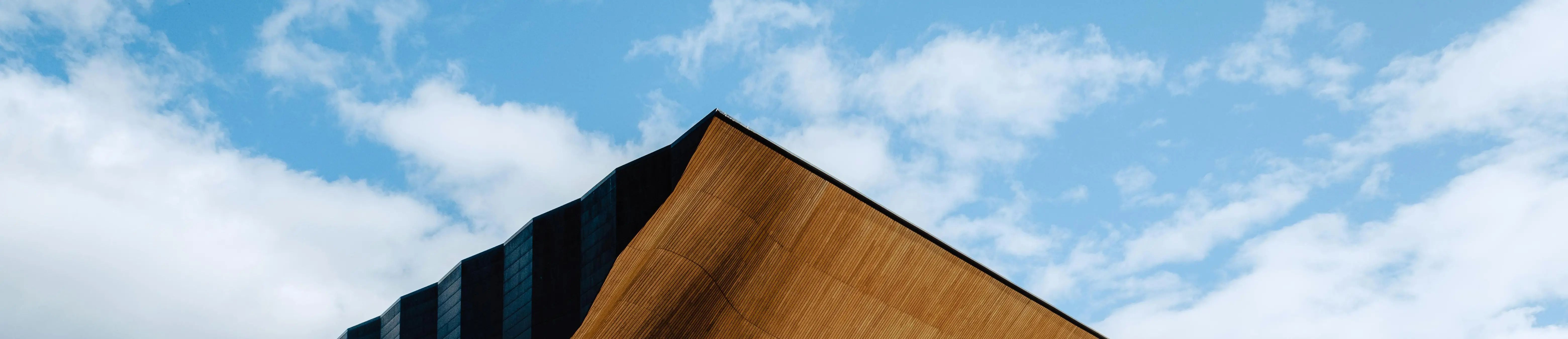 Pexels Laura Paredis 1047081 13257229 (1)