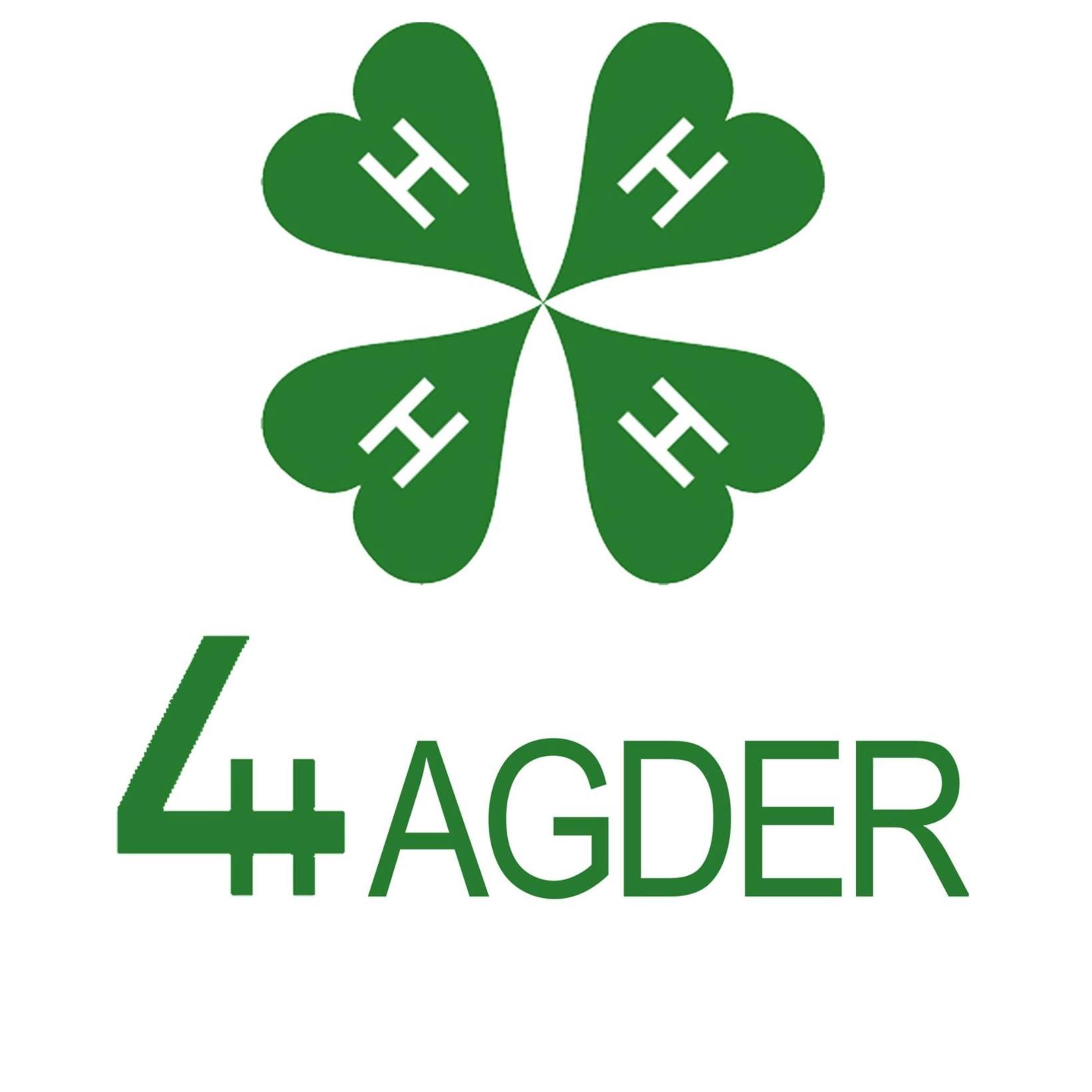 logo bilde 4H Agder