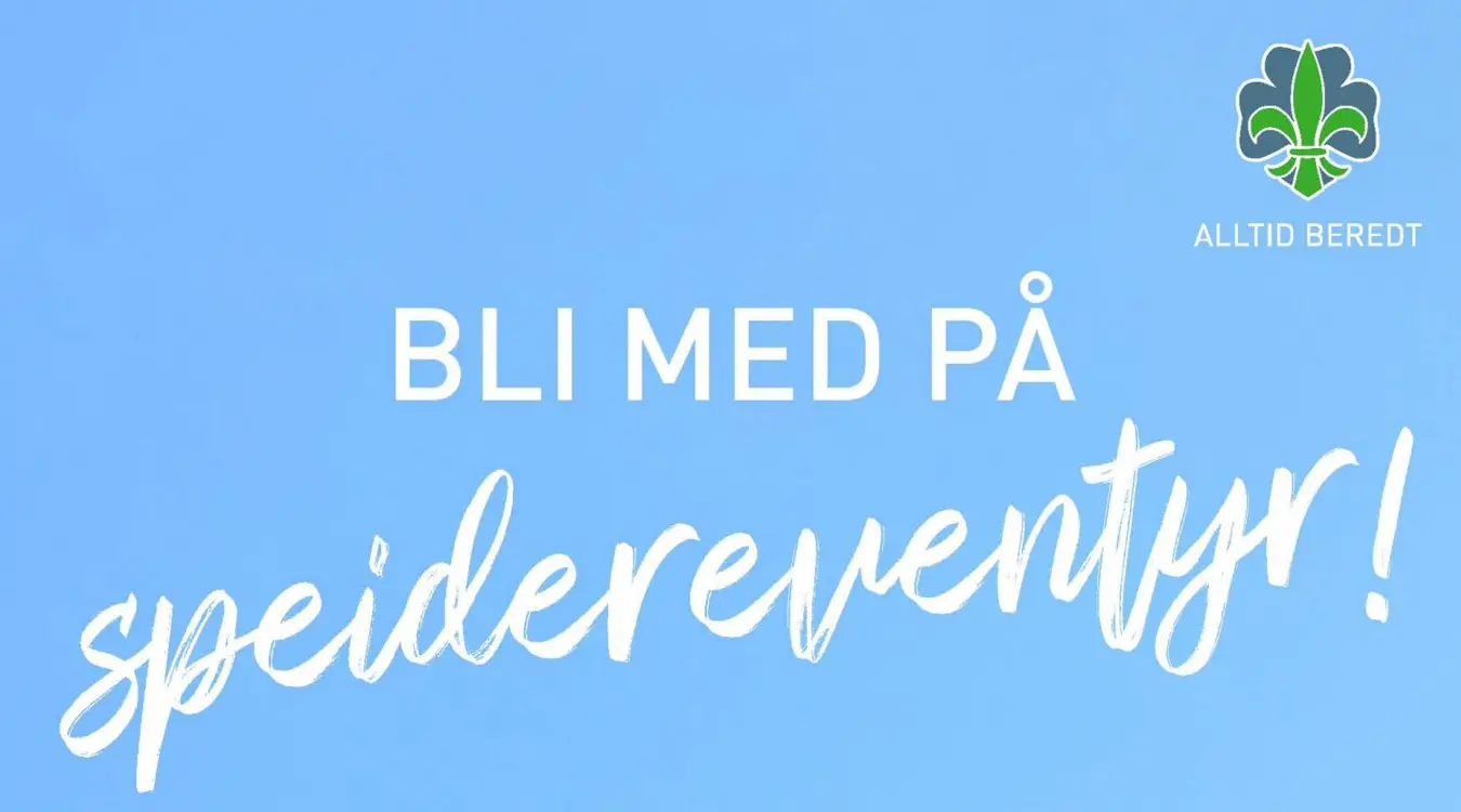 bilde_NSF Blispeider